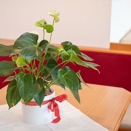 Dr. Aufmesser Appartements Obertauern Eksteriør billede